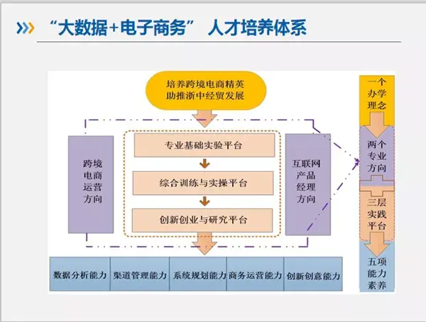 "大数据 "背景下人才养面临的问题以及"大数据 电子商务"人才培养创新