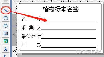 标签打印软件如何批量制作植物标本名签