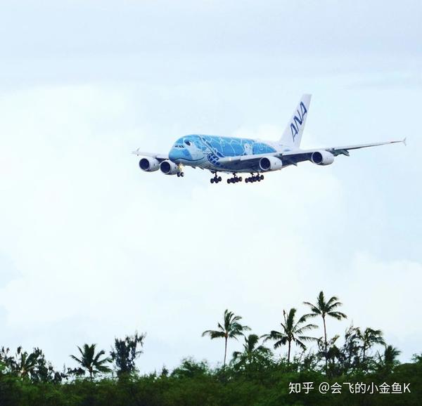 忍者神龟全日空三架a380