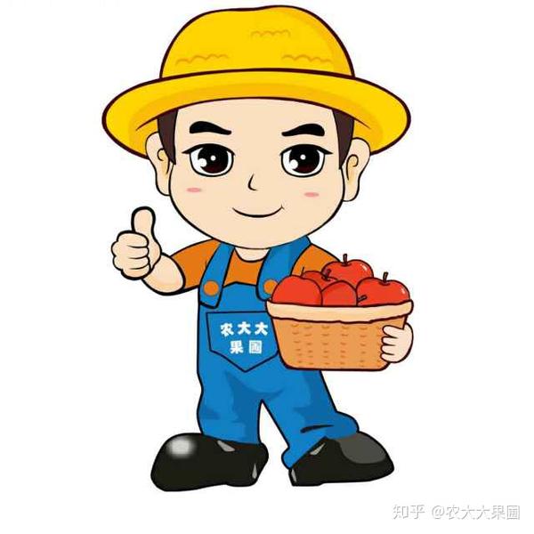 人为原型的二维卡通形象"(中国西部方言里"农大大"是"农民伯伯"的意思