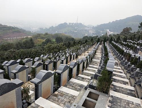 九龙坡白市驿镇视野开阔价格低仙友山公墓怎么样?