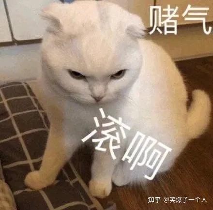 爆了一个人09姑娘消消气,快叫她一声姐姐还在为聊天没有表情包而苦恼?