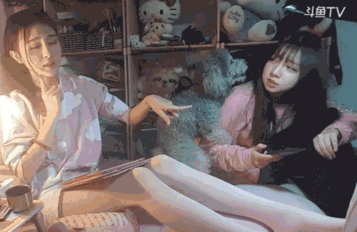 【萌犬百科】请注意前方高能