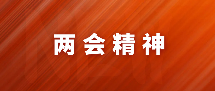 心得体会学习两会精神