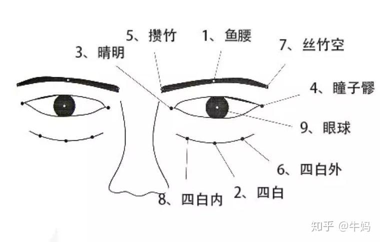 这样疏通眼部经络 用眼疲劳一扫光