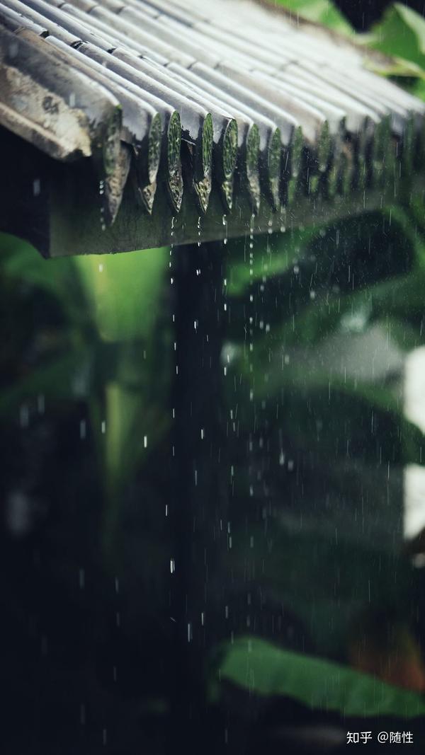 在乡下老房子的时候,每当下雨天,总喜欢在屋檐下看雨,如细丝般的落