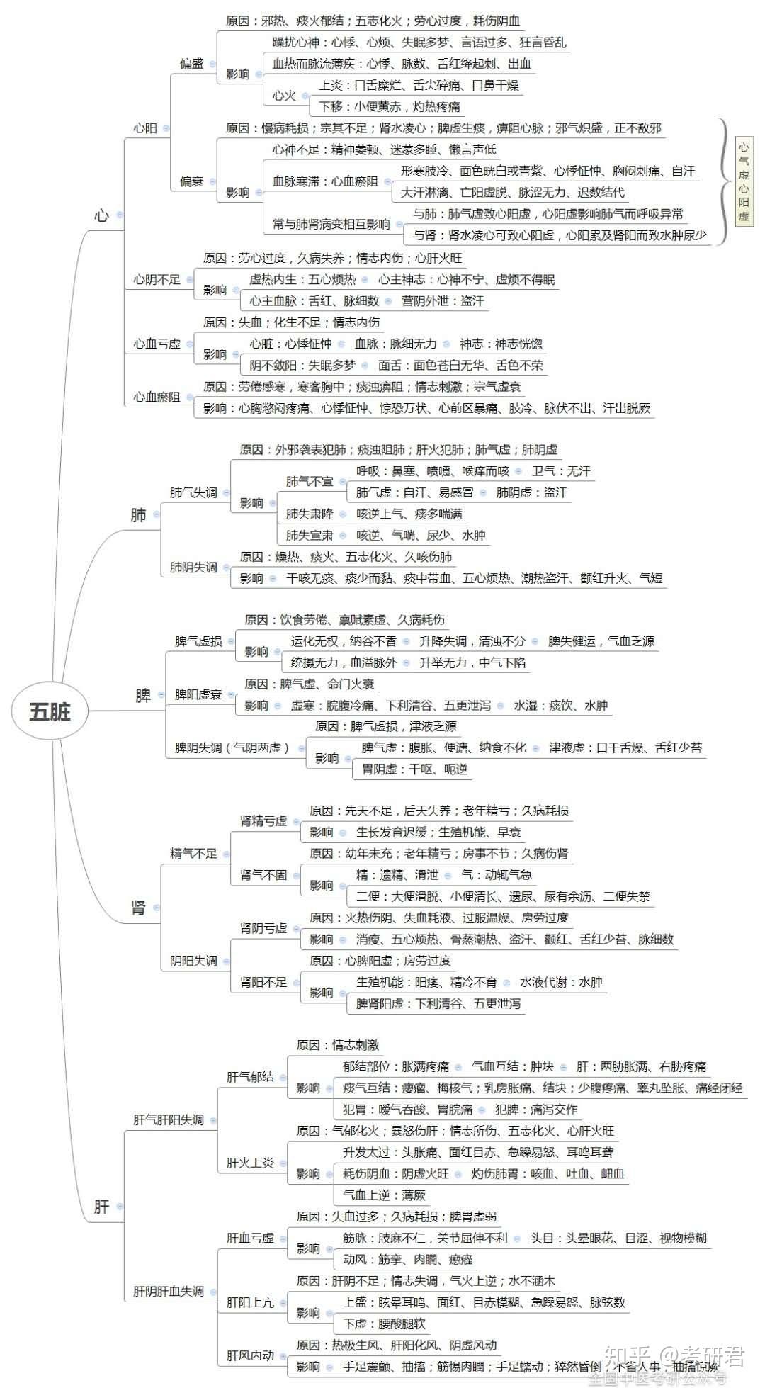 中医考研20张超全思维导图让你吃透脏腑知识重难考点