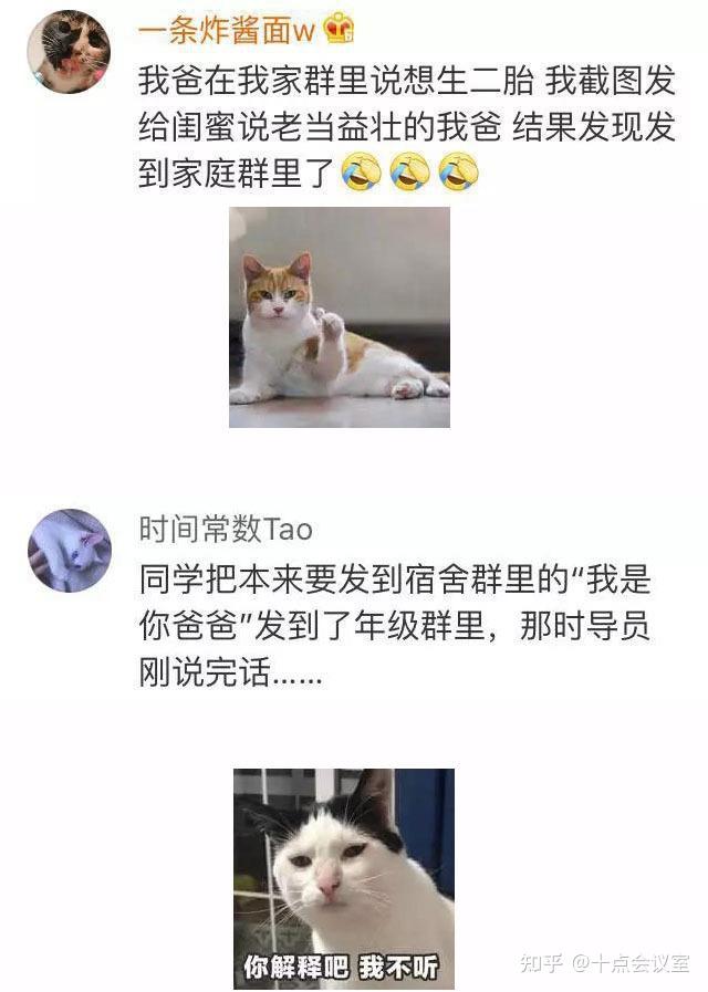 沙雕搞笑段子七十六