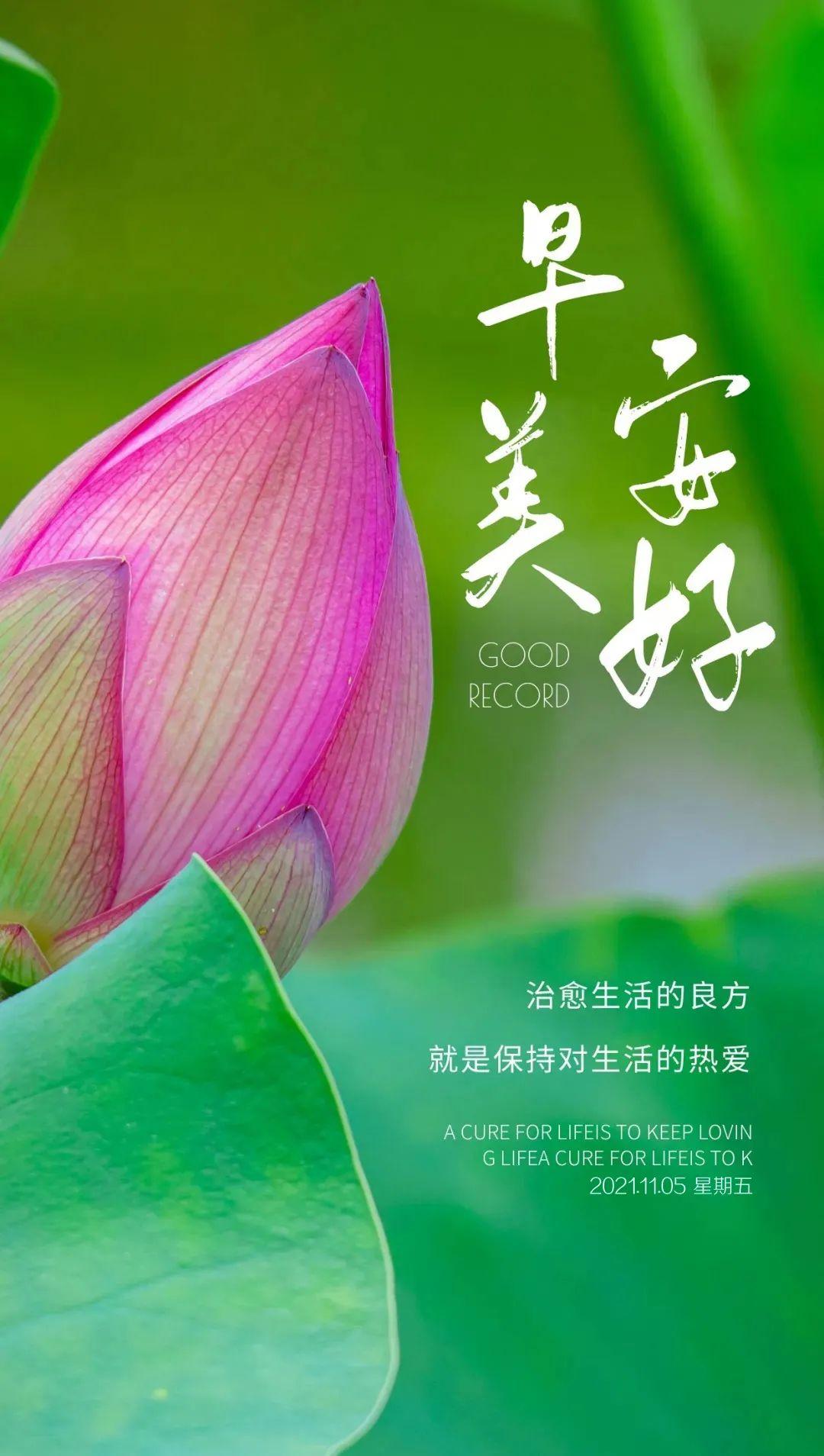 11月5日早安心语正能量加油语录句子正能量微信早上好图片说说