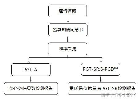 染色体罗氏易位