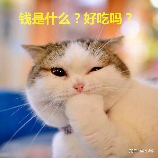 我,未满28岁,掉钱眼里了