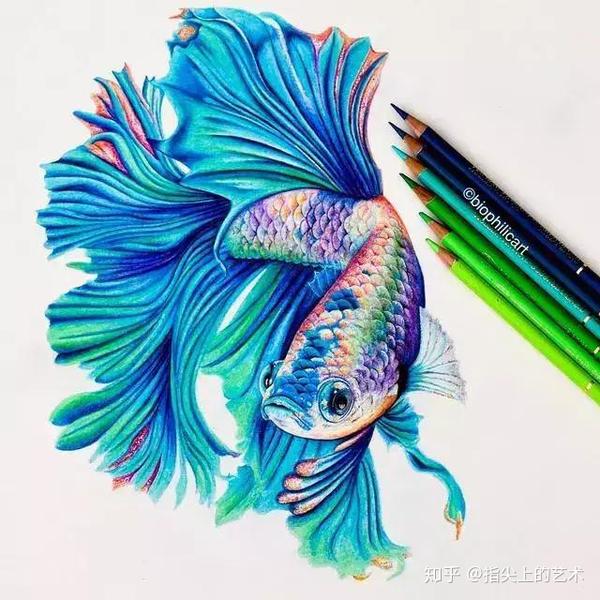 精湛的彩铅花鸟手绘惊艳了