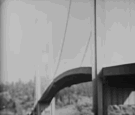 543_461gif 动态图 动图