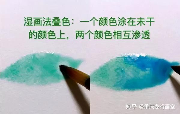 对于水彩初学者来说,掌握绘画技巧尤为重要,没有扎实的基础绘画技巧