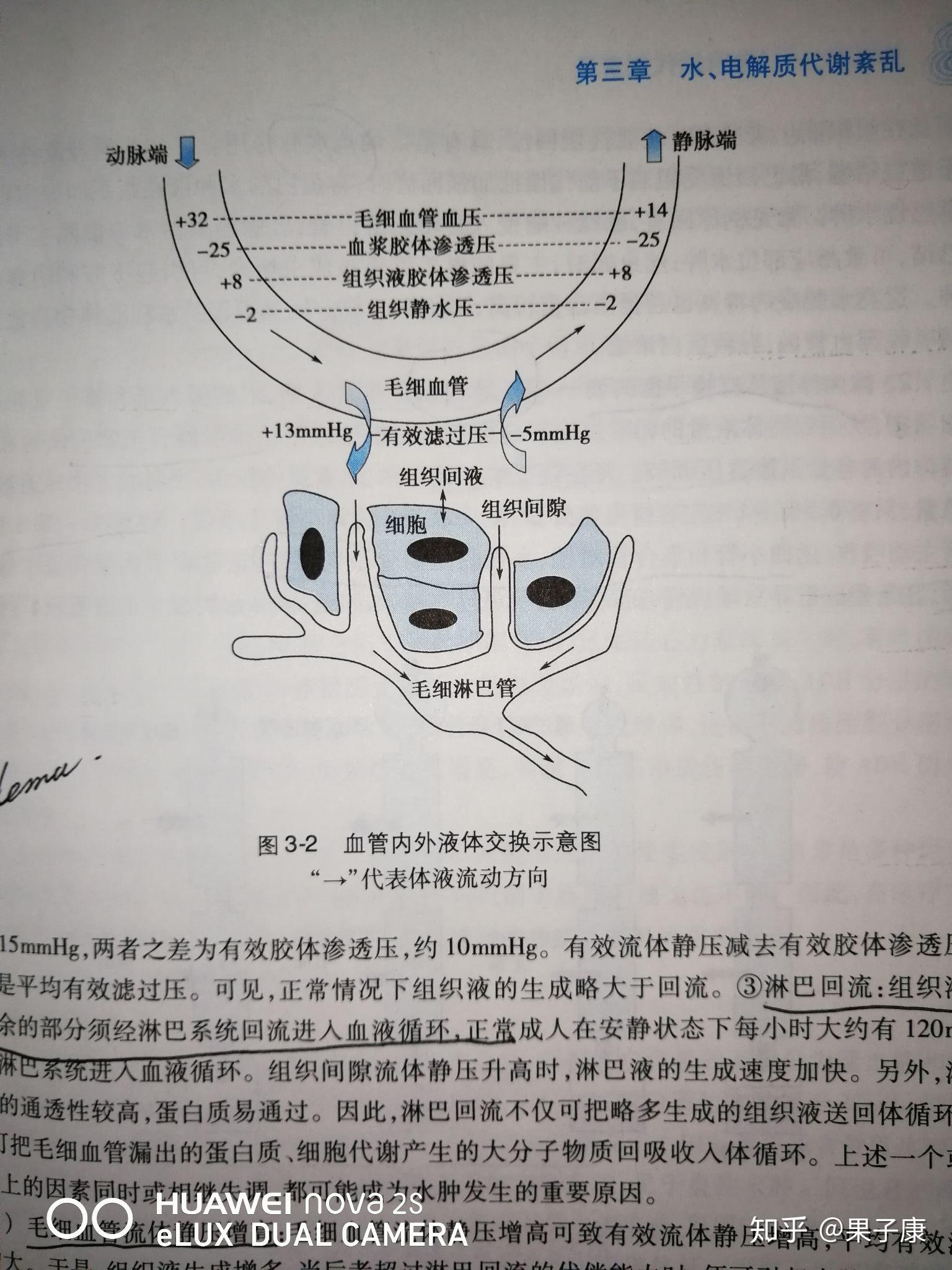 血浆渗透压