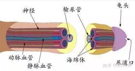 zhuanlan.zhihu.com