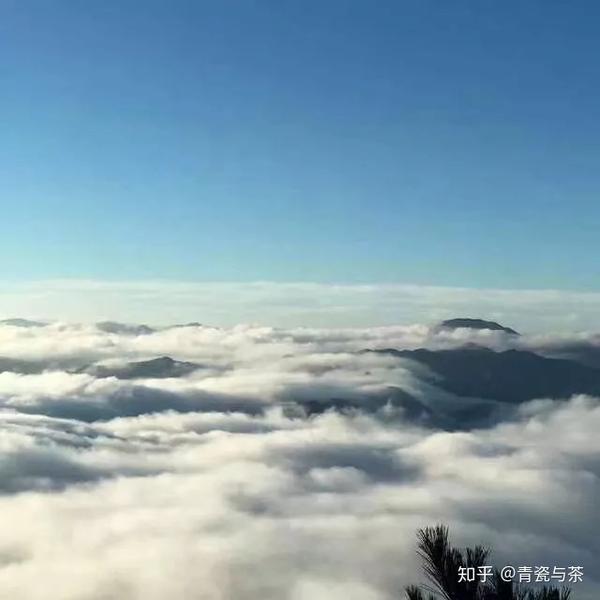 寿宁南山顶云海