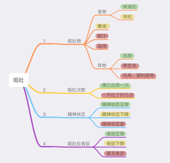 先来看下呕吐的情况吧,萌爪君将猫咪呕吐的详情制作成了思维导图,方便