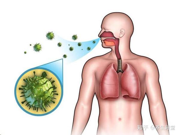 喝水时,撒1把"天然消炎王",坚持15天,气管炎灭尽,喉咙