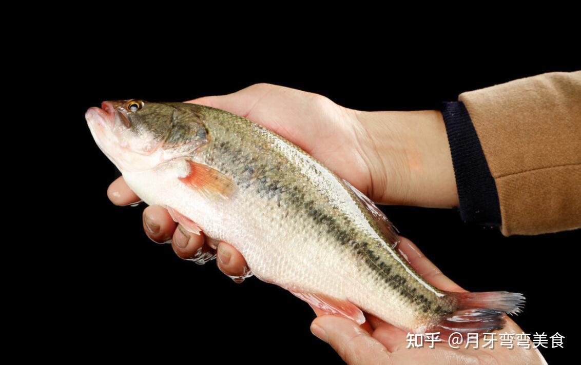 新鲜鲈鱼如何挑记住3看1掂懂行人都夸你年年有鱼更富足