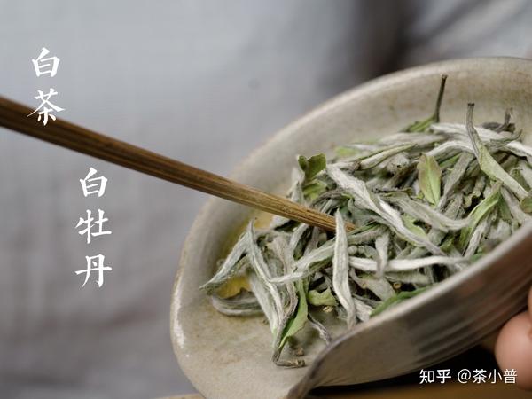 白茶知识77白牡丹不是花茶是白茶