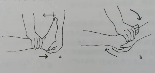 进行背屈时,治疗师一手固定踝关节上方,另一手握足跟,在牵拉跟腱的