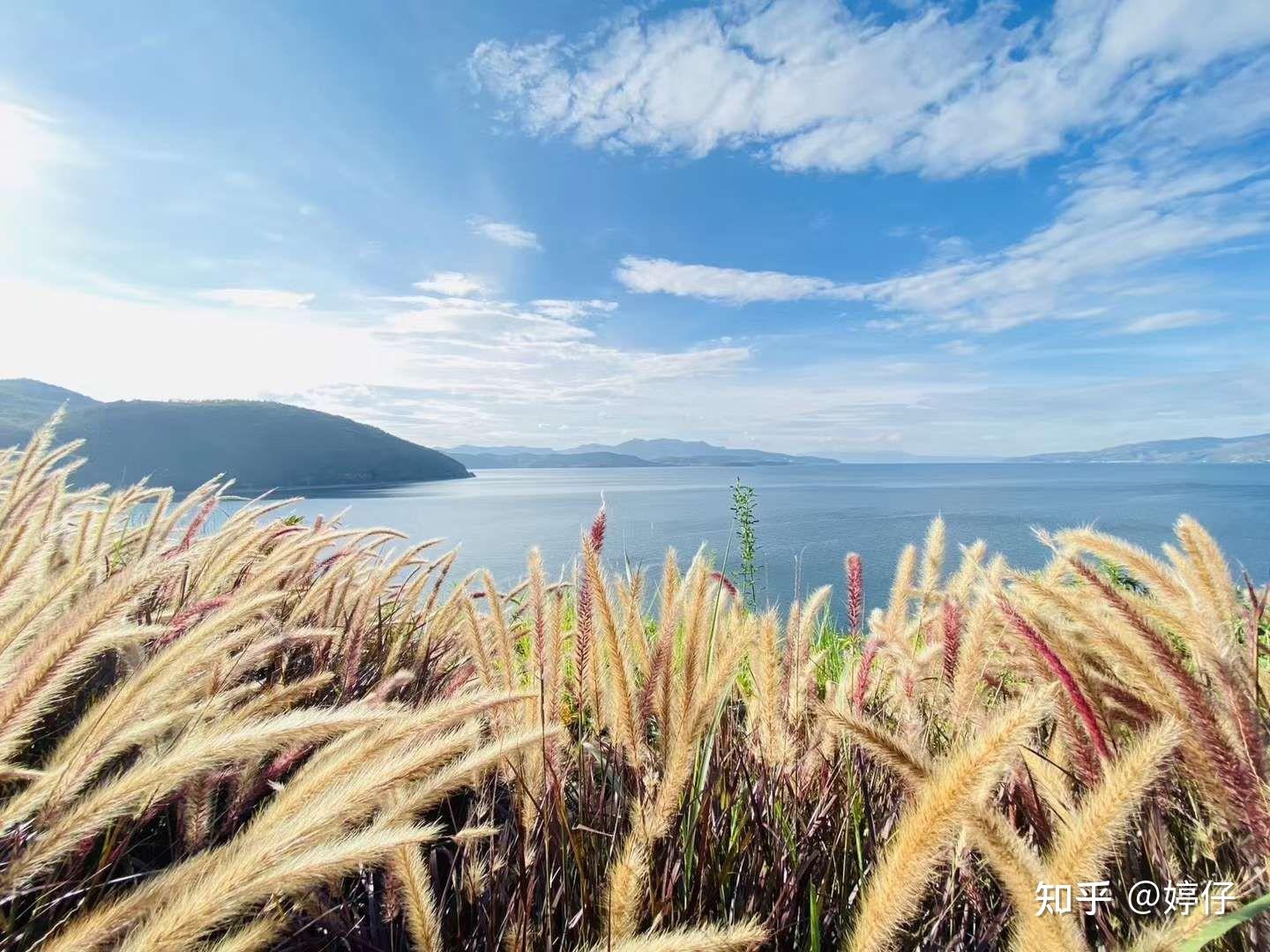 抚仙湖星空小镇度假海景房带花园