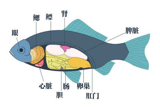 多人器官衰竭住进icu罪魁祸首很多人都在犯春节将至转发提醒