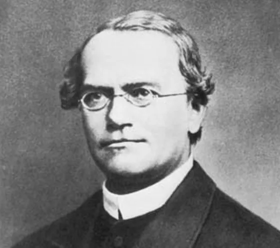 格雷戈尔·孟德尔(1822年7月20日-1884年1月6日),奥地利帝国生物学家