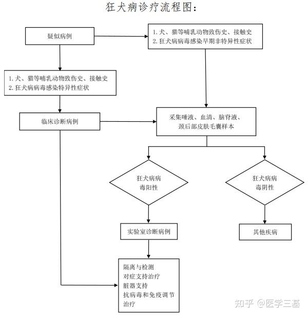 狂犬病是狂犬病病毒感染引起的人兽共患传染病,缺乏特异性治疗,病死率