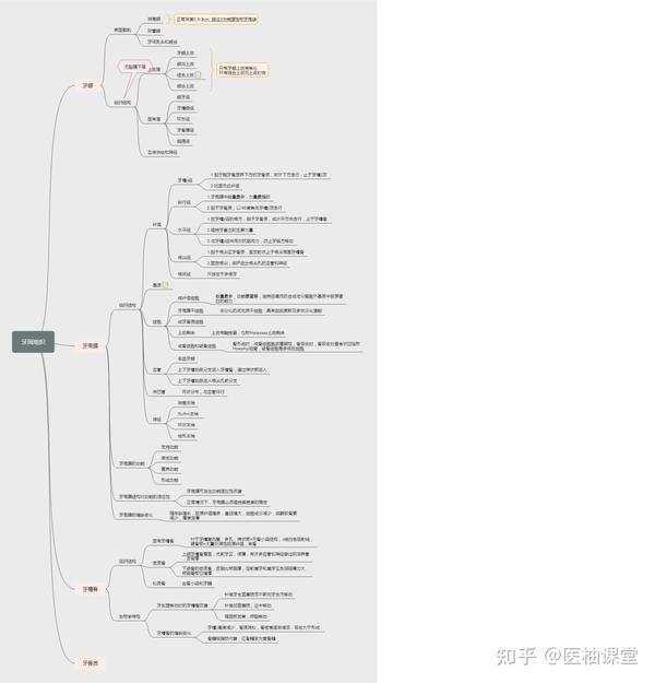 口腔医学 思维导图分享