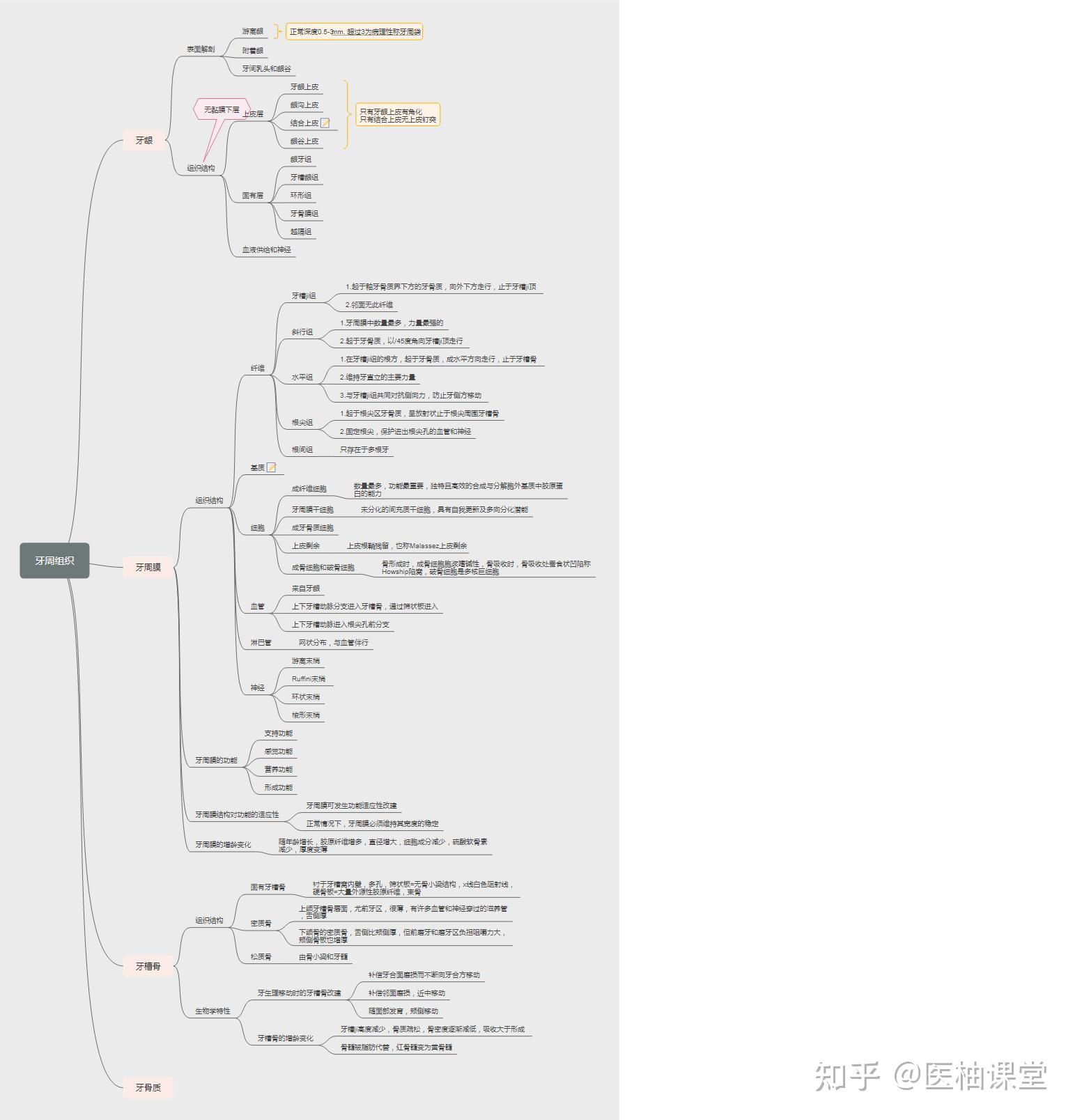 口腔医学思维导图分享