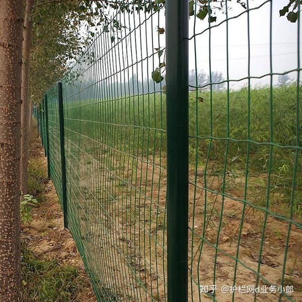 1.5x30米养鸡铁丝网围栏的三个渠道哪个更便宜做养殖的朋友一定要知道