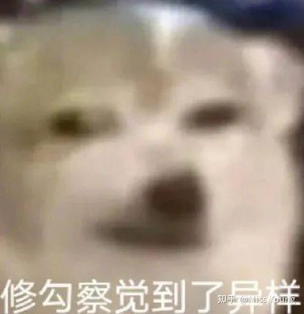 如果说姐姐是智商担当,妹妹是搞笑担当,那么哥哥就是这个家的心眼担当