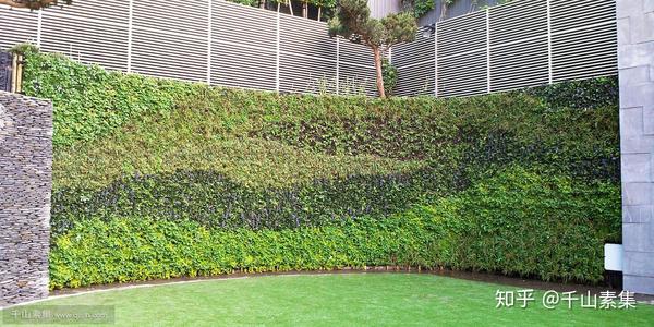 私家花园挡土墙植物墙,流线造型的垂直花园