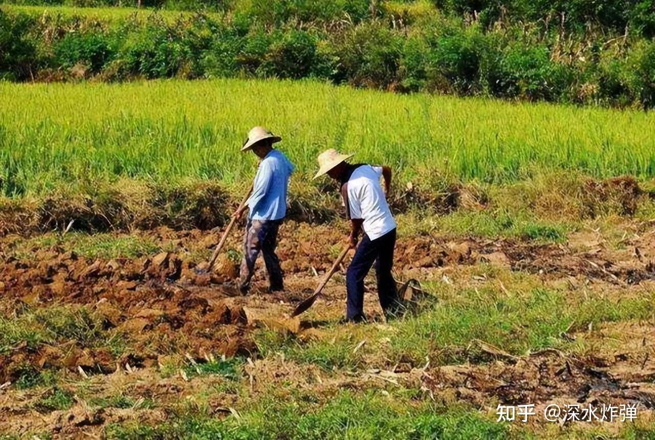 大龄农民工该何去何从