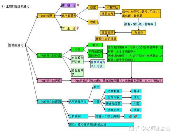 生物高分的秘密:生物思维导图