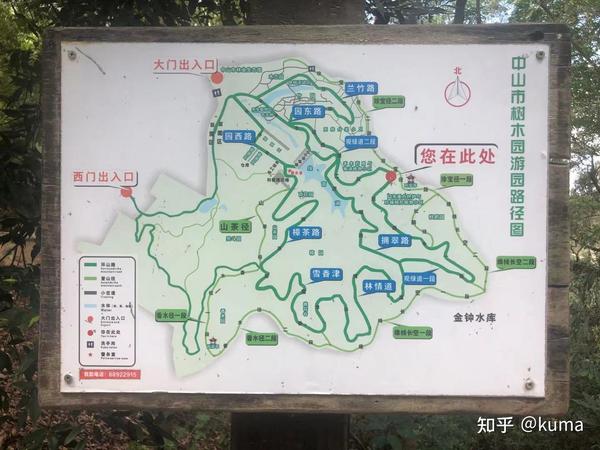 中山树木园游记(初级体验介绍及攻略)