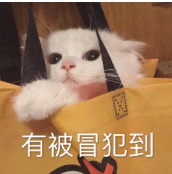 可爱沙雕的文案句子