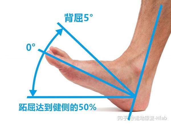 助你康复跟腱断裂术后康复指导