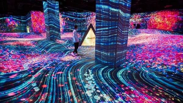倾影科技:沉浸式数字艺术展 | teamlab forest,感知缤纷灿烂的光影