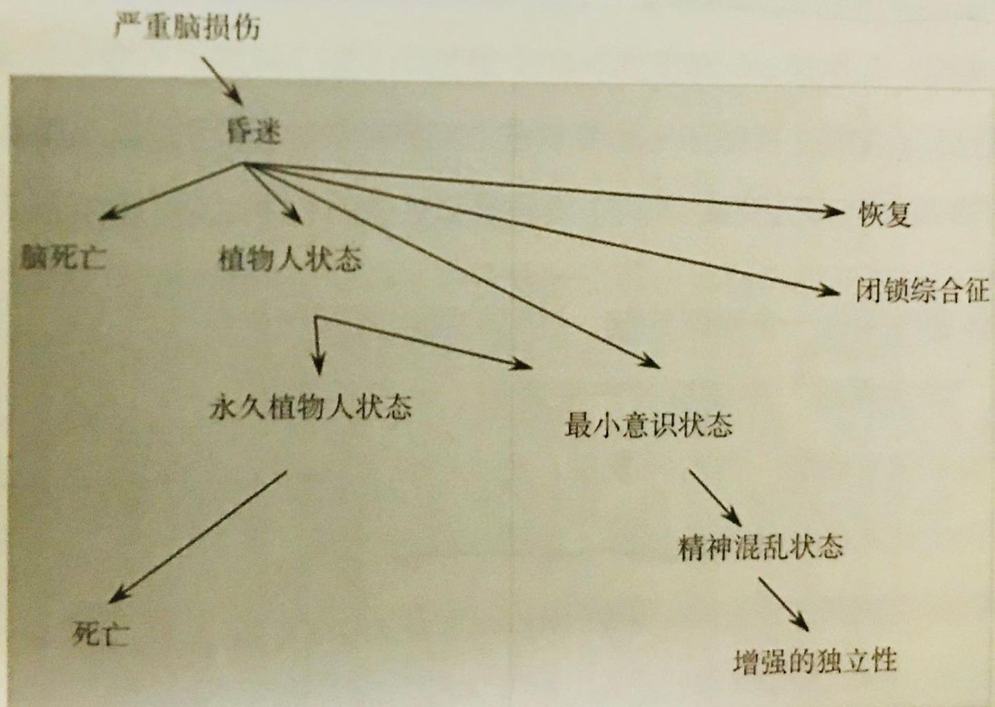 昏迷和脑死亡的区别