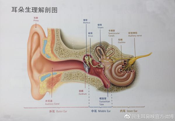 突发性耳聋的临床表现,检查及诊断依据有哪些?