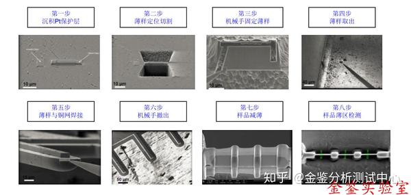 Fib Sem