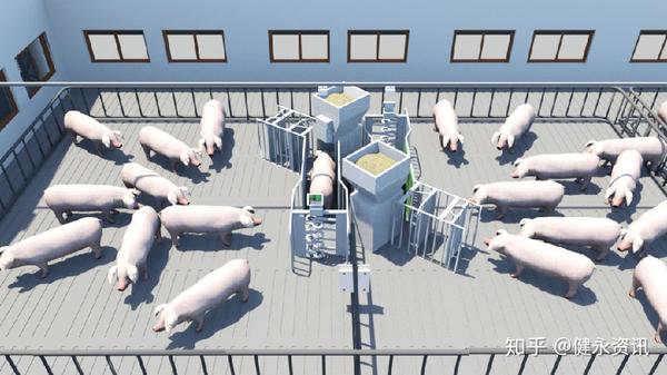智能化设备已成为新建规模猪场的必备要素