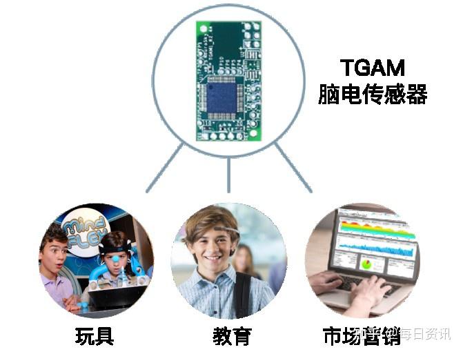 神念科技脑电和心电传感器提供商