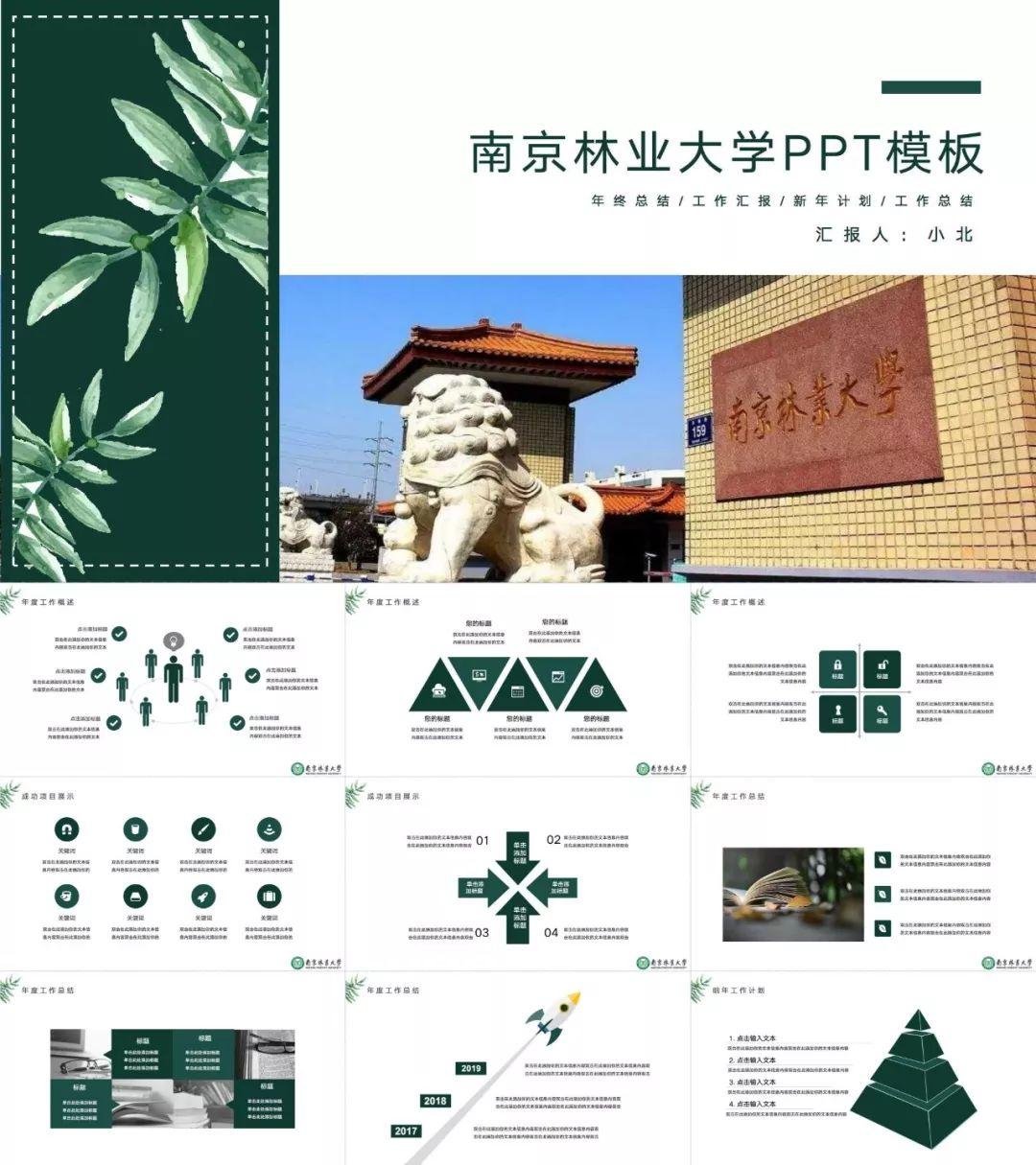 南京林业大学专属ppt模板南林同学的专属礼包来了