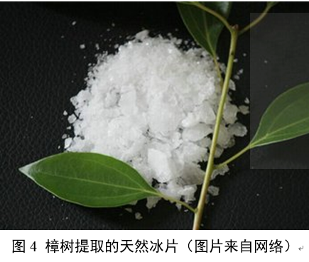 果然,大自然还真是不负众望,为我们提供了含有左旋龙脑的植物菊科