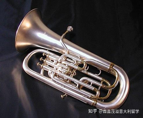 eufonio也可翻译为悠风号,国内一般译为上低音号,是铜管乐器家族中的