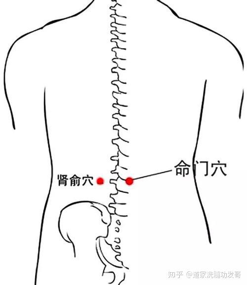 站桩功的正确方法,站桩松尾闾四步功!